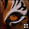 comfacet24
