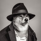 wiktor444