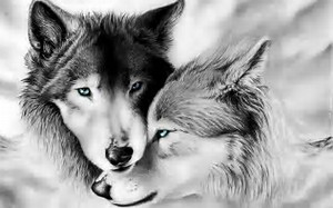 RavenM274